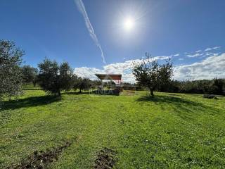 Terreno agricolo in vendita a zagarolo via colle persico