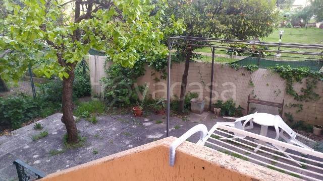 immagine annuncio 2 di 12