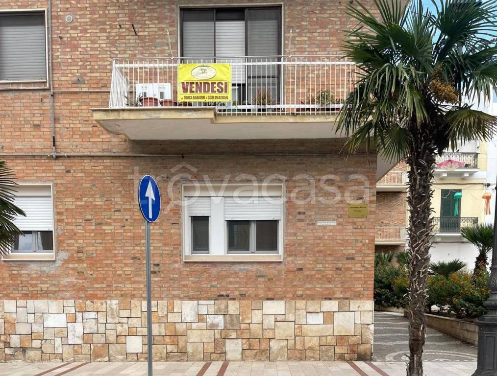immagine annuncio 13 di 14