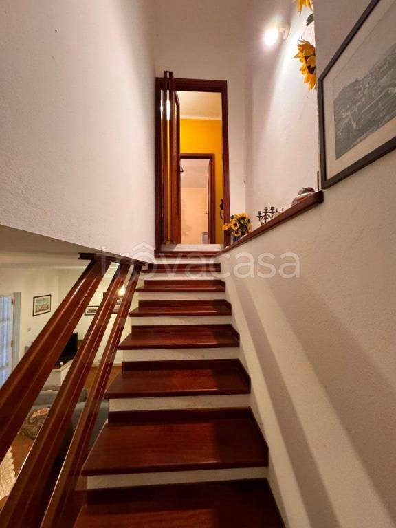 immagine annuncio 7 di 14
