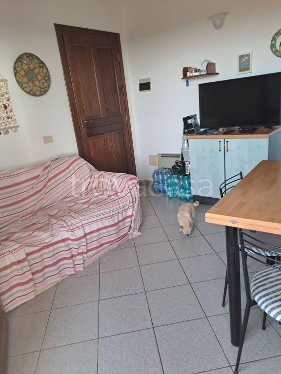 immagine annuncio 10 di 12