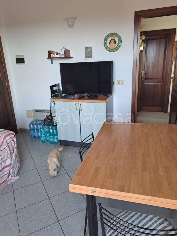 immagine annuncio 8 di 12