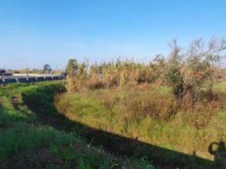 Terreno agricolo in vendita a sessa aurunca viale degli eucalipti s.n.c.