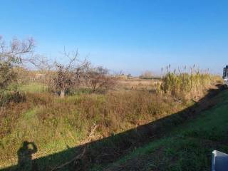 Terreno agricolo in vendita a sessa aurunca via domitiana, km 11.500