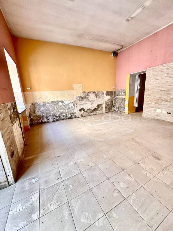 immagine annuncio 4 di 12