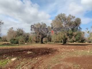 Terreno residenziale in vendita a san vito dei normanni 