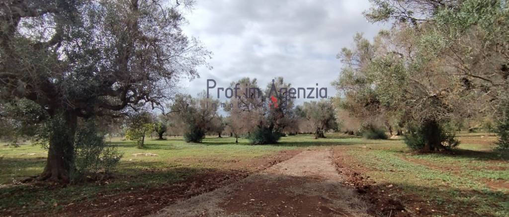 immagine annuncio 7 di 9