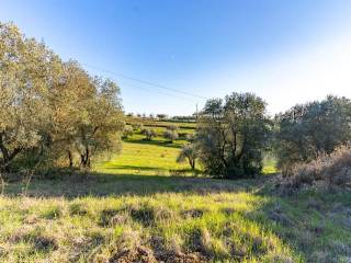 Terreno residenziale in vendita a montelupo fiorentino via malmantile