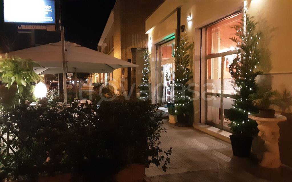 immagine annuncio 5 di 14