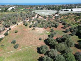 Terreno agricolo in vendita a polignano a mare contrada san martino