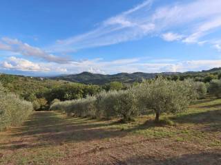 Terreno agricolo in vendita a perugia strada pieve san sebastiano, 25