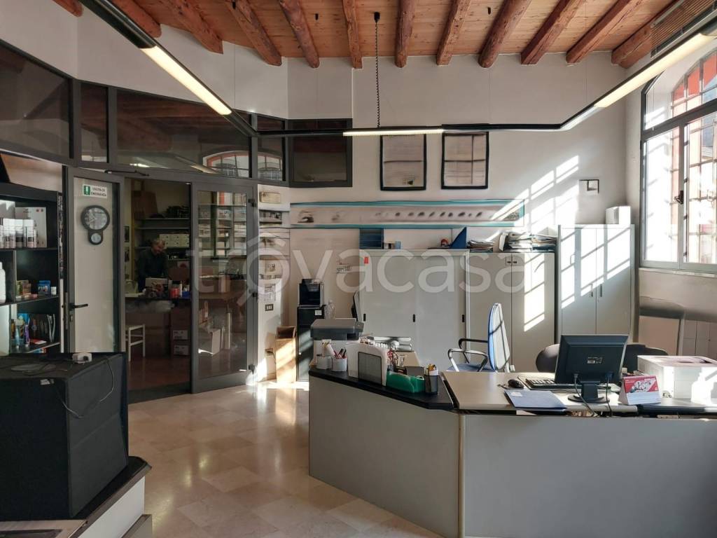 immagine annuncio 9 di 14