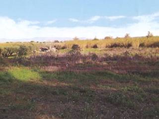 Terreno agricolo in vendita a cerveteri via della cava di sabbia