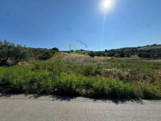 Terreno agricolo in vendita a giulianova via cavoni