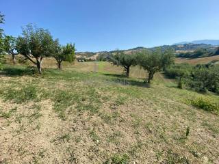 Terreno agricolo in vendita a maltignano via mediana inferiore