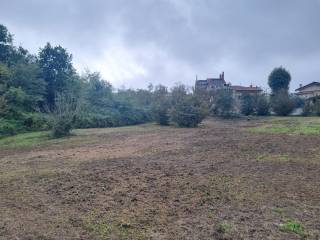 Terreno agricolo in vendita a san potito ultra via crocefisso