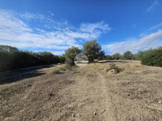 Terreno agricolo in vendita a quartucciu via dei gelsi