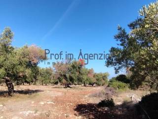 Terreno residenziale in vendita a carovigno 