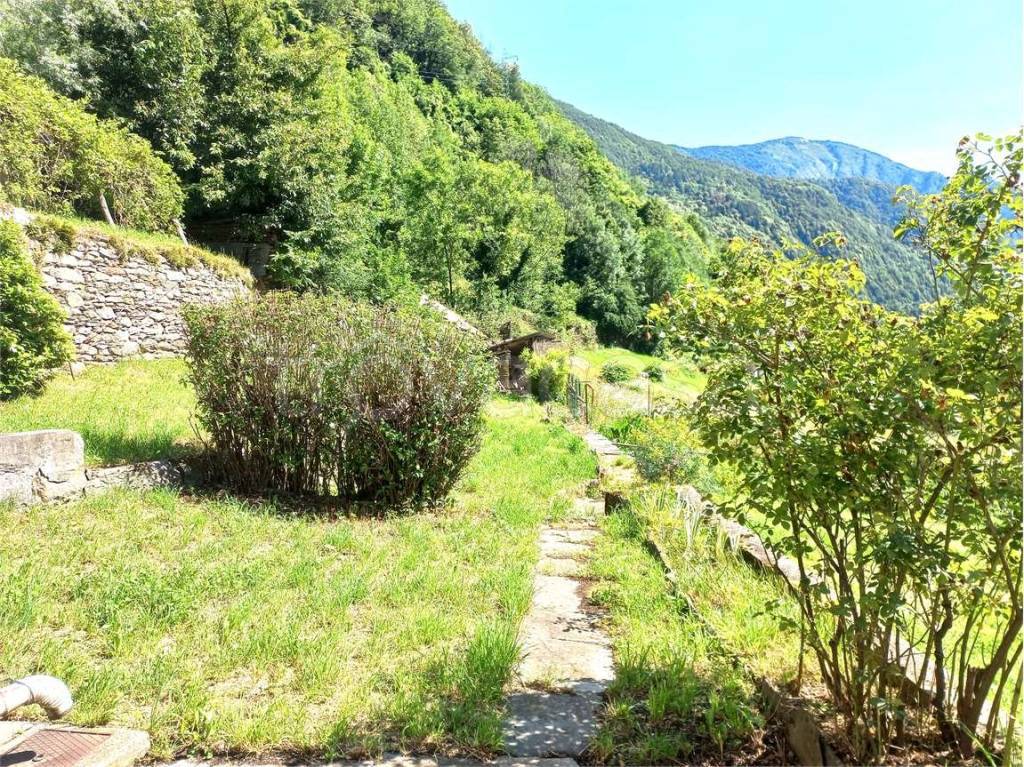 immagine annuncio 4 di 14