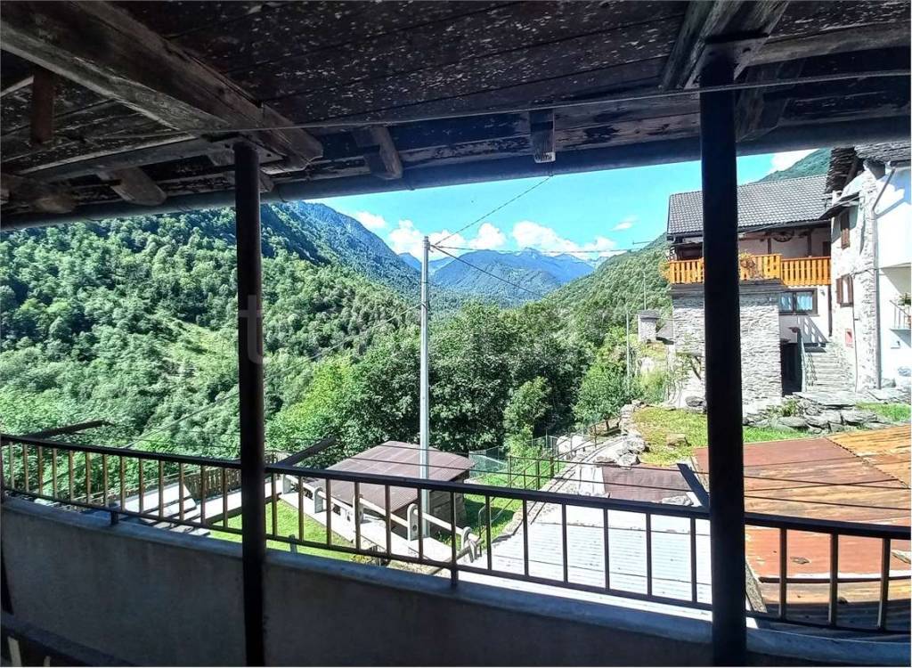 immagine annuncio 12 di 14