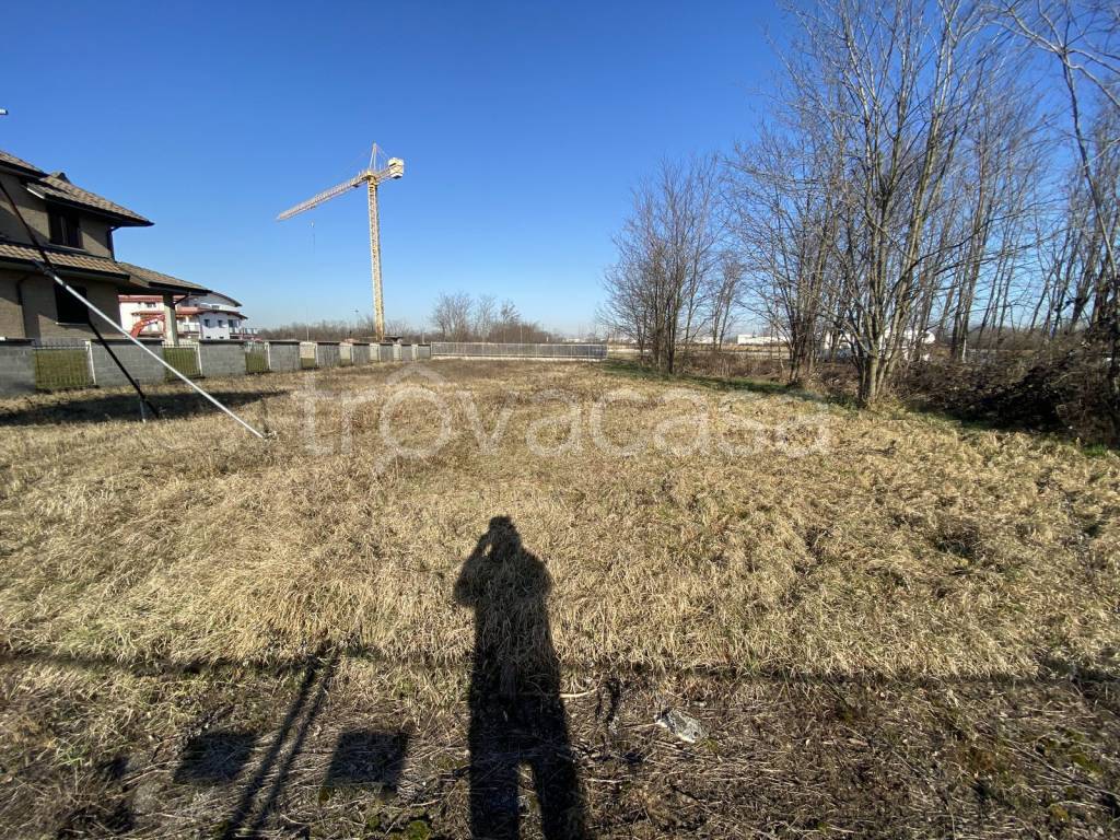 immagine annuncio 1 di 6
