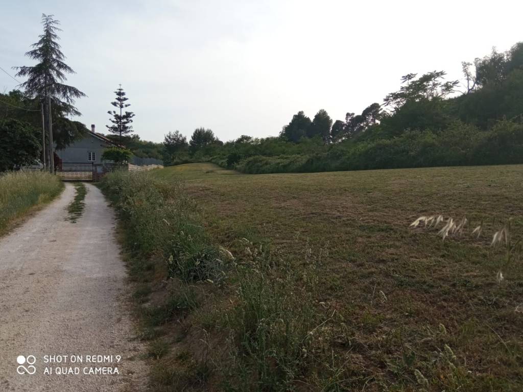 immagine annuncio 6 di 8