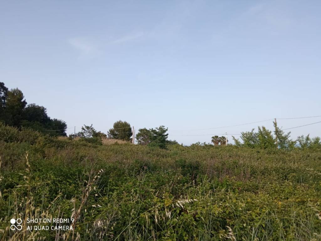 immagine annuncio 7 di 8