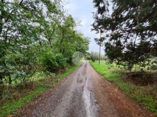 Terreno agricolo in vendita a bolsena via cassia nord