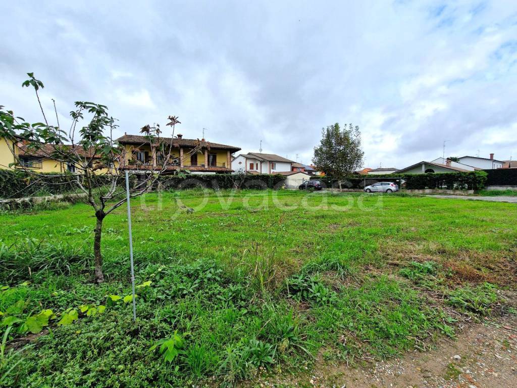 immagine annuncio 9 di 15