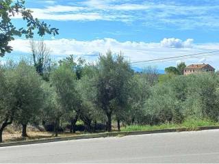 Terreno agricolo in vendita a pollenza 