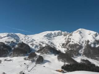 Appartamento in in vendita da privato a san massimo strada provinciale per campitello matese