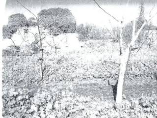 Terreno agricolo in vendita a giugliano in campania corso campano