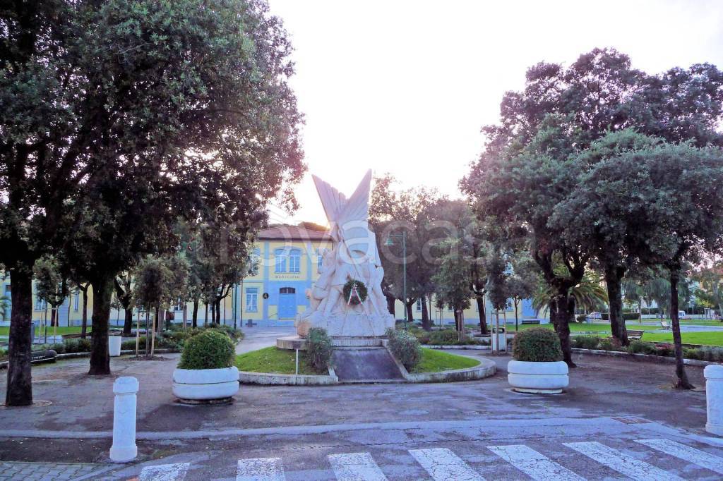 immagine annuncio 8 di 11