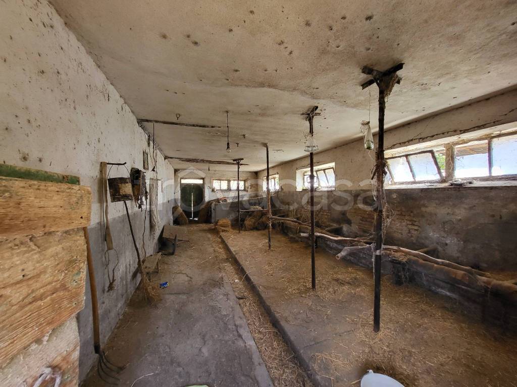 immagine annuncio 11 di 12