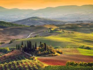 Colonica in vendita a bibbona strada provinciale bolgherese