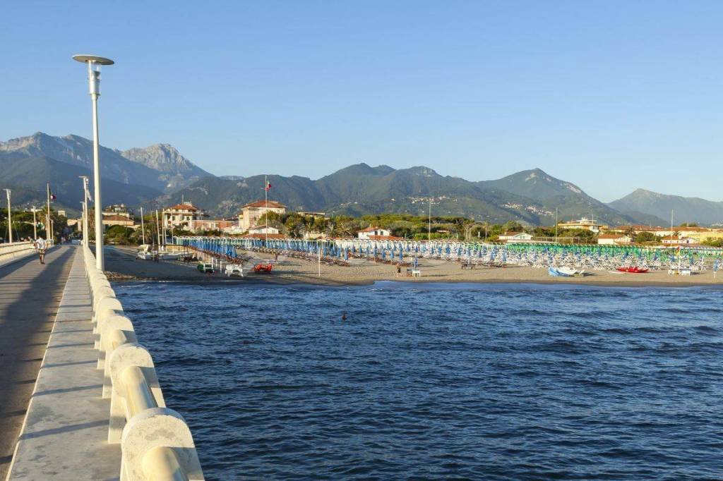 immagine annuncio 9 di 14