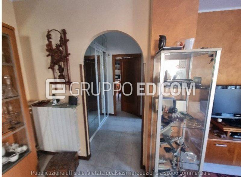 immagine annuncio 3 di 6