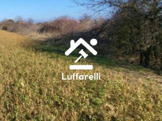 Terreno agricolo in vendita a bellaria-igea marina via san giuseppe