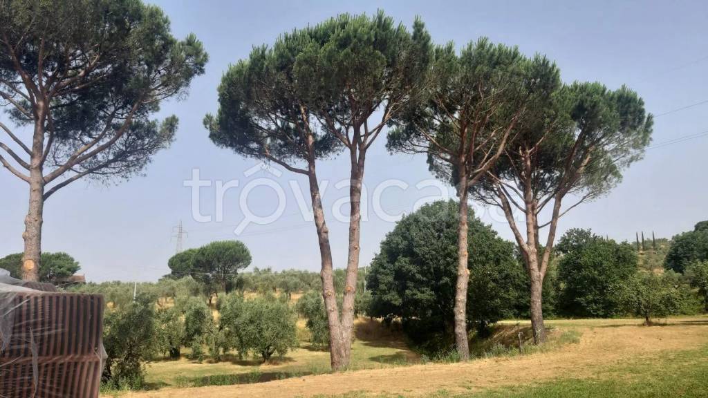 immagine annuncio 5 di 6