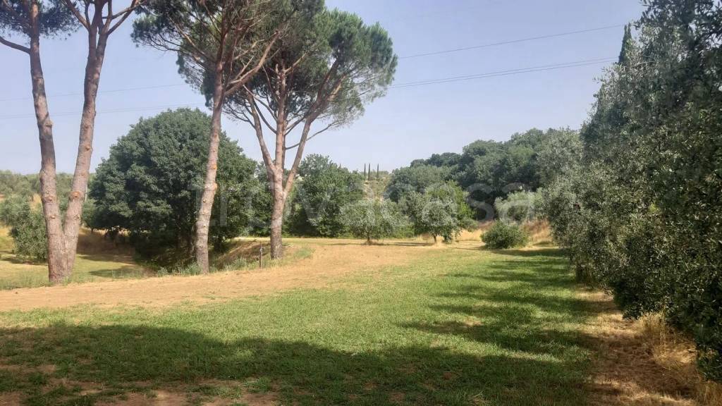 immagine annuncio 4 di 6