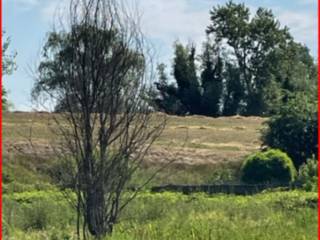 Terreno industriale in vendita a borgo mantovano via achille grandi