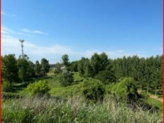 Terreno industriale in vendita a borgo mantovano via achille grandi