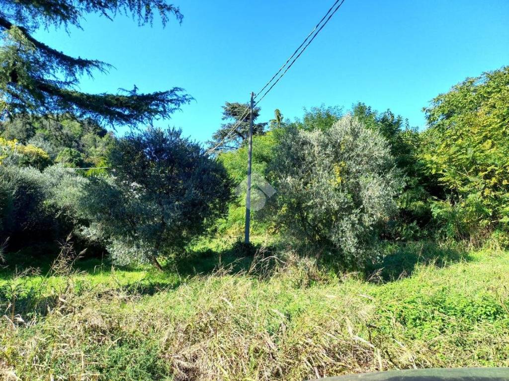 immagine annuncio 9 di 13