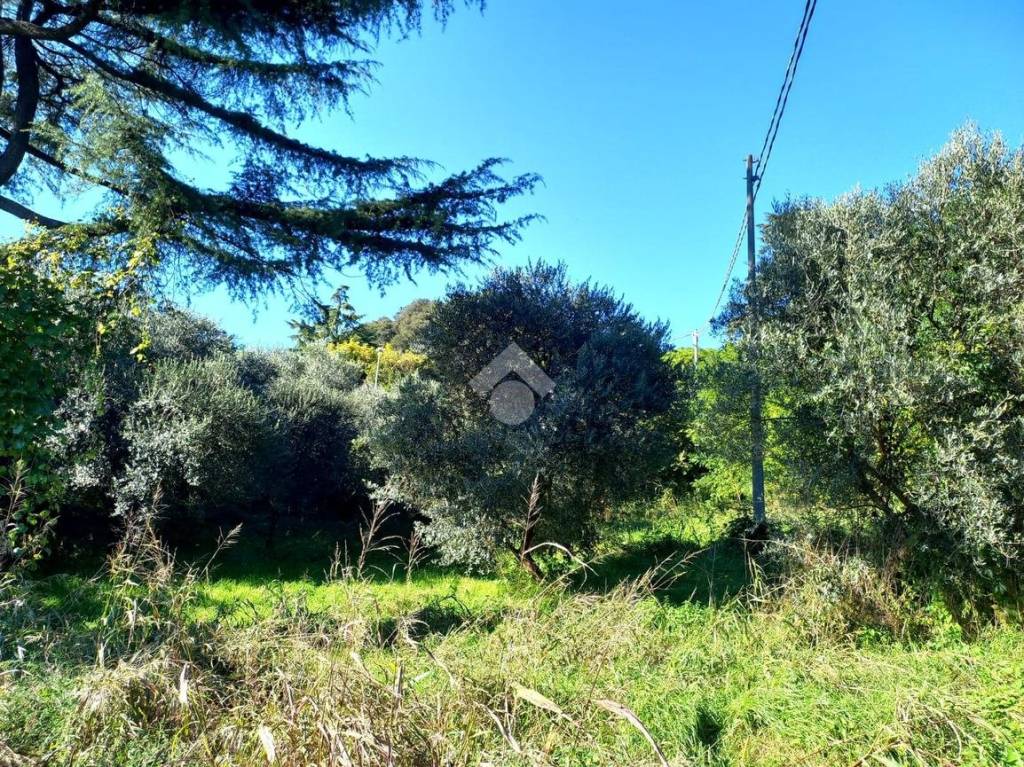 immagine annuncio 10 di 13