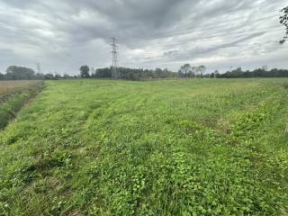 Terreno agricolo in vendita a mira via della lepre, 1