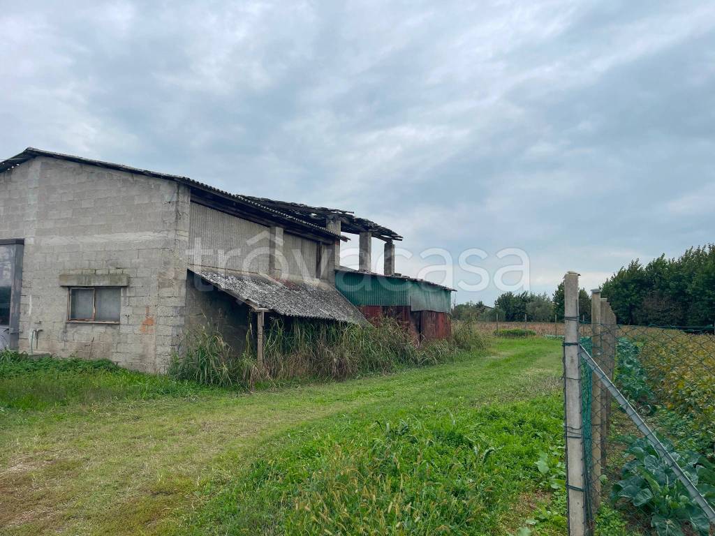 immagine annuncio 2 di 12