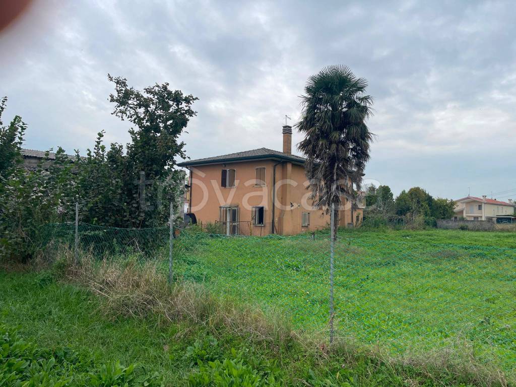 immagine annuncio 3 di 12