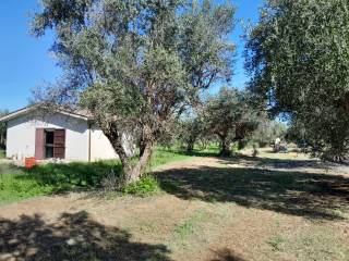 Terreno agricolo in vendita a gallicano nel lazio via grotte dell'acqua