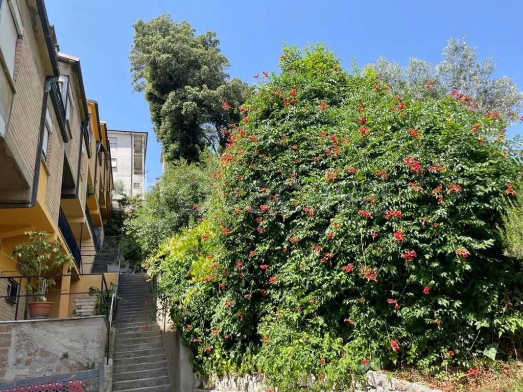 immagine annuncio 10 di 14