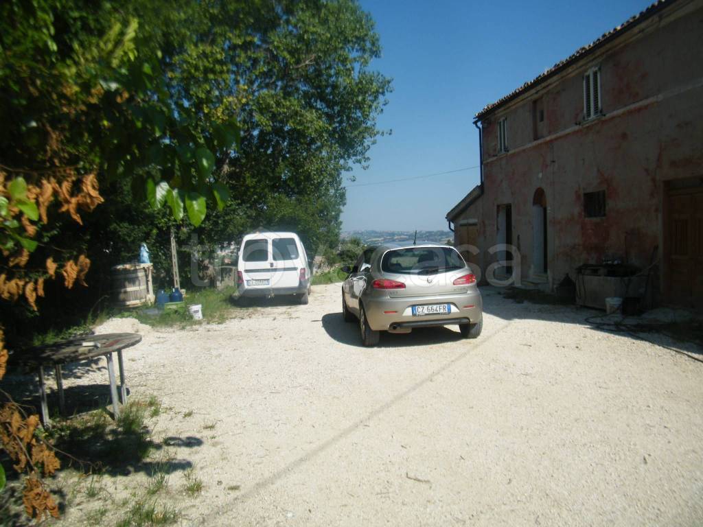 immagine annuncio 2 di 12